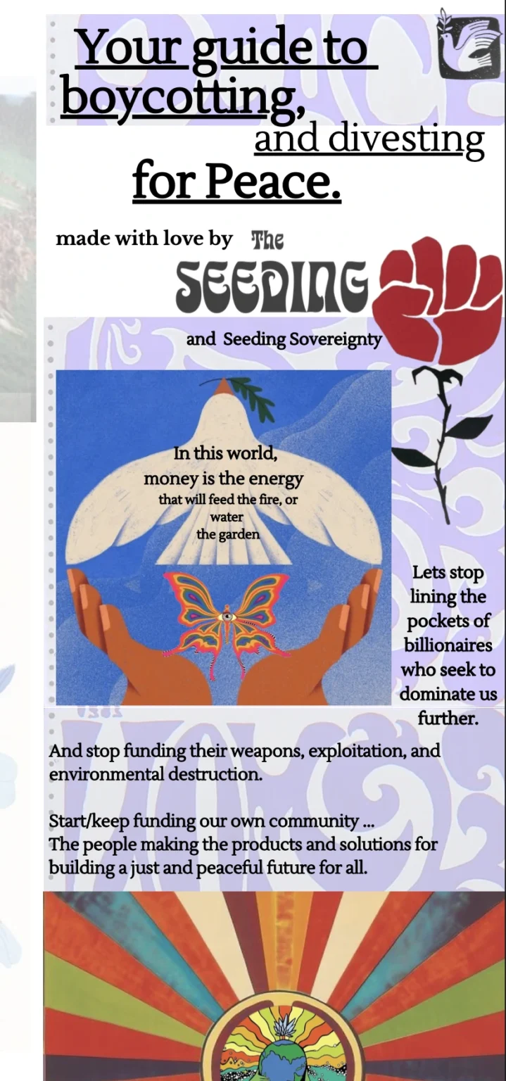 Screenshot 2025-11-11 at 2.11.00 am