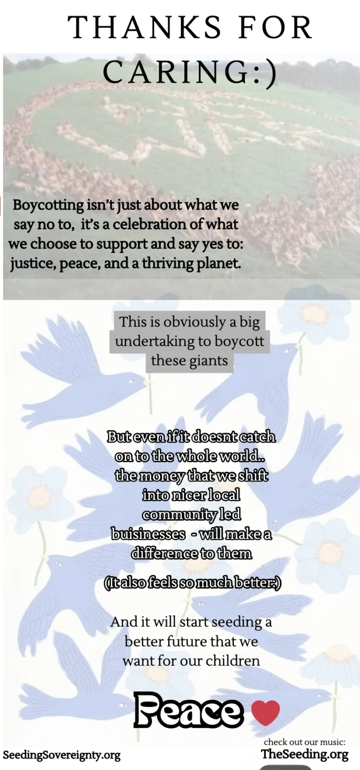 Screenshot 2025-11-11 at 2.11.18 am