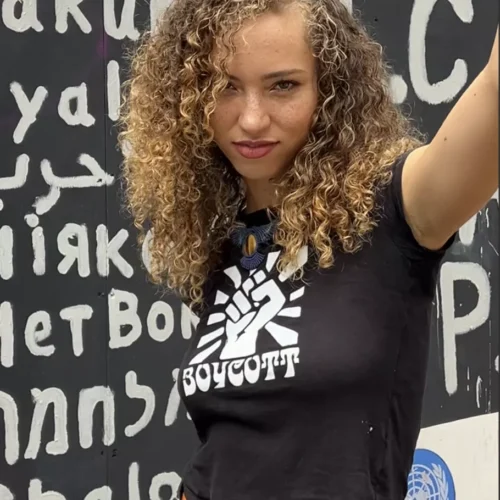 screenshot-2026-02-16-at-41211-am-6991fe8c4f8a9 Boycott T-Shirt